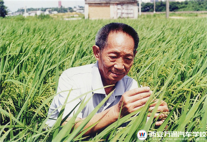 【職素教育】西安萬通國旗下的約定：珍惜糧食，杜絕浪費